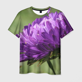 Мужская футболка 3D с принтом Фиолетовая астра в Петрозаводске, 100% полиэфир | прямой крой, круглый вырез горловины, длина до линии бедер | Тематика изображения на принте: астра | дача | красота | лепесток | лето | огород | природа | растение | участок | фазенда | фиолет | фиолетовый | цветение | цветовод | цветоводство | цветок | цветы