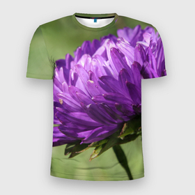 Мужская футболка 3D Slim с принтом Фиолетовая астра в Белгороде, 100% полиэстер с улучшенными характеристиками | приталенный силуэт, круглая горловина, широкие плечи, сужается к линии бедра | Тематика изображения на принте: астра | дача | красота | лепесток | лето | огород | природа | растение | участок | фазенда | фиолет | фиолетовый | цветение | цветовод | цветоводство | цветок | цветы