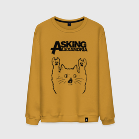 Мужской свитшот хлопок с принтом Asking Alexandria   rock cat в Белгороде, 100% хлопок |  | 