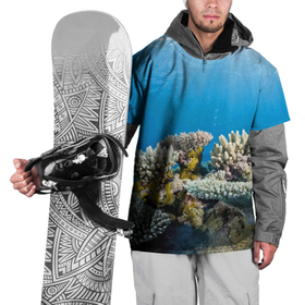 Накидка на куртку 3D с принтом Кораллы в тропических водах индийского океана в Санкт-Петербурге, 100% полиэстер |  | bottom | coral | fish | ocean | tropics | дно | коралл | океан | рыба | тропики