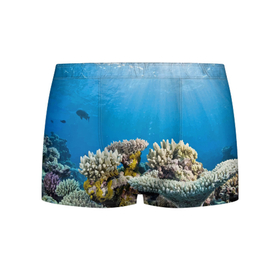 Мужские трусы 3D с принтом Кораллы в тропических водах индийского океана , 50% хлопок, 50% полиэстер | классическая посадка, на поясе мягкая тканевая резинка | bottom | coral | fish | ocean | tropics | дно | коралл | океан | рыба | тропики