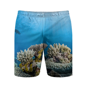 Мужские шорты спортивные с принтом Кораллы в тропических водах индийского океана в Новосибирске,  |  | bottom | coral | fish | ocean | tropics | дно | коралл | океан | рыба | тропики