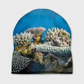 Шапка 3D с принтом Кораллы в тропических водах индийского океана , 100% полиэстер | универсальный размер, печать по всей поверхности изделия | bottom | coral | fish | ocean | tropics | дно | коралл | океан | рыба | тропики