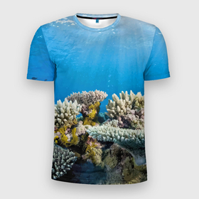 Мужская футболка 3D Slim с принтом Кораллы в тропических водах индийского океана в Белгороде, 100% полиэстер с улучшенными характеристиками | приталенный силуэт, круглая горловина, широкие плечи, сужается к линии бедра | bottom | coral | fish | ocean | tropics | дно | коралл | океан | рыба | тропики