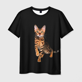 Мужская футболка 3D с принтом Бенгальский котенок в Белгороде, 100% полиэфир | прямой крой, круглый вырез горловины, длина до линии бедер | Тематика изображения на принте: bengal cat | бенгал | бенгальская кошка | бенгальский кот | бенгальский котенок | порода бенгал | снежный бенгал