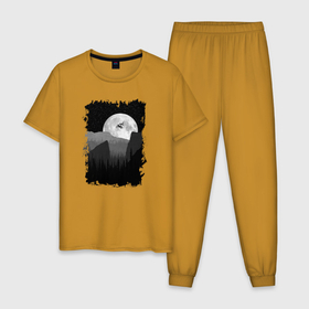 Мужская пижама хлопок с принтом Короткий путь в Кировске, 100% хлопок | брюки и футболка прямого кроя, без карманов, на брюках мягкая резинка на поясе и по низу штанин
 | 