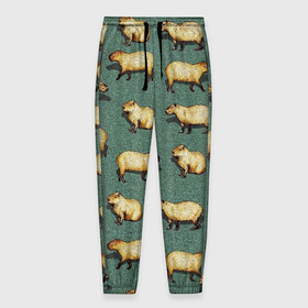 Мужские брюки 3D с принтом Капибары на траве в Курске, 100% полиэстер | манжеты по низу, эластичный пояс регулируется шнурком, по бокам два кармана без застежек, внутренняя часть кармана из мелкой сетки | capybara | водосвинка | животные | капибара