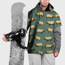 Накидка на куртку 3D с принтом Капибары на траве в Санкт-Петербурге, 100% полиэстер |  | Тематика изображения на принте: capybara | водосвинка | животные | капибара