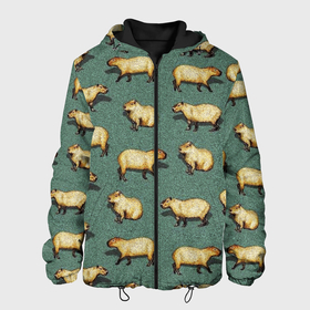 Мужская куртка 3D с принтом Капибары на траве в Екатеринбурге, ткань верха — 100% полиэстер, подклад — флис | прямой крой, подол и капюшон оформлены резинкой с фиксаторами, два кармана без застежек по бокам, один большой потайной карман на груди. Карман на груди застегивается на липучку | capybara | водосвинка | животные | капибара