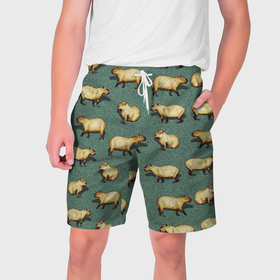 Мужские шорты 3D с принтом Капибары на траве в Тюмени,  полиэстер 100% | прямой крой, два кармана без застежек по бокам. Мягкая трикотажная резинка на поясе, внутри которой широкие завязки. Длина чуть выше колен | capybara | водосвинка | животные | капибара