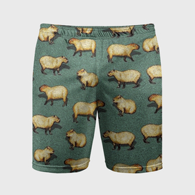 Мужские шорты спортивные с принтом Капибары на траве в Кировске,  |  | capybara | водосвинка | животные | капибара