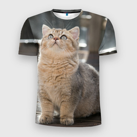 Мужская футболка 3D Slim с принтом Британская короткошёрстная кошка смотрит вверх в Тюмени, 100% полиэстер с улучшенными характеристиками | приталенный силуэт, круглая горловина, широкие плечи, сужается к линии бедра | 