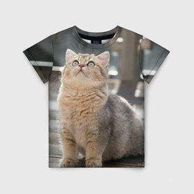 Детская футболка 3D с принтом Британская короткошёрстная кошка смотрит вверх , 100% гипоаллергенный полиэфир | прямой крой, круглый вырез горловины, длина до линии бедер, чуть спущенное плечо, ткань немного тянется | Тематика изображения на принте: 
