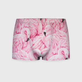 Мужские трусы 3D с принтом Pink Flamingos в Тюмени, 50% хлопок, 50% полиэстер | классическая посадка, на поясе мягкая тканевая резинка | flamingos | паттерн | птицы | розовый фламинго | фламинго