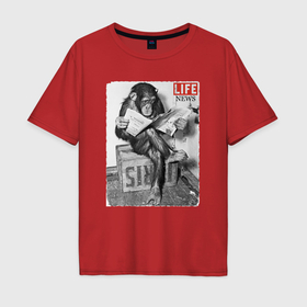 Мужская футболка хлопок Oversize с принтом Life news:Monkeys в Екатеринбурге, 100% хлопок | свободный крой, круглый ворот, “спинка” длиннее передней части | life | газета | животные | жизнь | новости | обезьяна | юмор