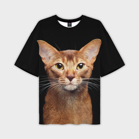 Мужская футболка oversize 3D с принтом Молодая абиссинская кошечка ,  |  | абиссин | абиссинская | кот | котёнок | коты | котята | кошка | кошки