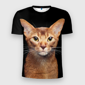 Мужская футболка 3D Slim с принтом Молодая абиссинская кошечка в Тюмени, 100% полиэстер с улучшенными характеристиками | приталенный силуэт, круглая горловина, широкие плечи, сужается к линии бедра | абиссин | абиссинская | кот | котёнок | коты | котята | кошка | кошки
