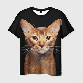 Мужская футболка 3D с принтом Молодая абиссинская кошечка в Курске, 100% полиэфир | прямой крой, круглый вырез горловины, длина до линии бедер | абиссин | абиссинская | кот | котёнок | коты | котята | кошка | кошки