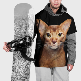 Накидка на куртку 3D с принтом Молодая абиссинская кошечка в Санкт-Петербурге, 100% полиэстер |  | Тематика изображения на принте: абиссин | абиссинская | кот | котёнок | коты | котята | кошка | кошки