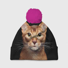 Шапка 3D c помпоном с принтом Молодая абиссинская кошечка в Курске, 100% полиэстер | универсальный размер, печать по всей поверхности изделия | абиссин | абиссинская | кот | котёнок | коты | котята | кошка | кошки