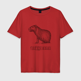Мужская футболка хлопок Oversize с принтом Водосвинка , 100% хлопок | свободный крой, круглый ворот, “спинка” длиннее передней части | capybara | водосвинка | грызун | грызуны | капибара | капибары | милая капибара