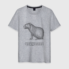 Мужская футболка хлопок с принтом Водосвинка в Тюмени, 100% хлопок | прямой крой, круглый вырез горловины, длина до линии бедер, слегка спущенное плечо. | capybara | водосвинка | грызун | грызуны | капибара | капибары | милая капибара