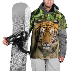 Накидка на куртку 3D с принтом Матёрый тигр в зарослях бамбука в Екатеринбурге, 100% полиэстер |  | eyes | jungle | moustache | muzzle | nose | skin | tiger | глаза | джунгли | нос | тигр | усы