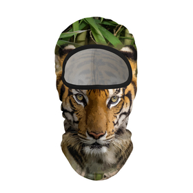 Балаклава 3D с принтом Матёрый тигр в зарослях бамбука в Петрозаводске, 100% полиэстер, ткань с особыми свойствами — Activecool | плотность 150–180 г/м2; хорошо тянется, но при этом сохраняет форму. Закрывает шею, вокруг отверстия для глаз кайма. Единый размер | eyes | jungle | moustache | muzzle | nose | skin | tiger | глаза | джунгли | нос | тигр | усы