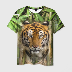 Мужская футболка 3D с принтом Матёрый тигр в зарослях бамбука в Екатеринбурге, 100% полиэфир | прямой крой, круглый вырез горловины, длина до линии бедер | eyes | jungle | moustache | muzzle | nose | skin | tiger | глаза | джунгли | нос | тигр | усы
