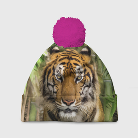 Шапка 3D c помпоном с принтом Матёрый тигр в зарослях бамбука в Кировске, 100% полиэстер | универсальный размер, печать по всей поверхности изделия | eyes | jungle | moustache | muzzle | nose | skin | tiger | глаза | джунгли | нос | тигр | усы