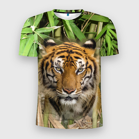 Мужская футболка 3D Slim с принтом Матёрый тигр в зарослях бамбука в Новосибирске, 100% полиэстер с улучшенными характеристиками | приталенный силуэт, круглая горловина, широкие плечи, сужается к линии бедра | eyes | jungle | moustache | muzzle | nose | skin | tiger | глаза | джунгли | нос | тигр | усы