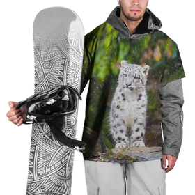 Накидка на куртку 3D с принтом Молодой барс и первые снежинки в Новосибирске, 100% полиэстер |  | Тематика изображения на принте: eyes | leopard | muzzle | nature | paws | skin | snowflake | stone | барс | глаза | камень | лапы | природа | снежинка