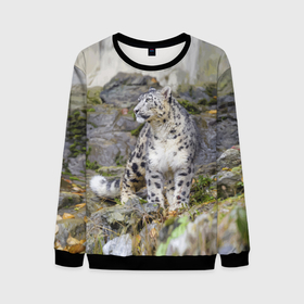 Мужской свитшот 3D с принтом Снежный барс среди скал в Екатеринбурге, 100% полиэстер с мягким внутренним слоем | круглый вырез горловины, мягкая резинка на манжетах и поясе, свободная посадка по фигуре | mountains | muzzle | nature | paws | rocks | snow leopard | tail | барс | горы | камни | лапы | природа | скалы | хвост