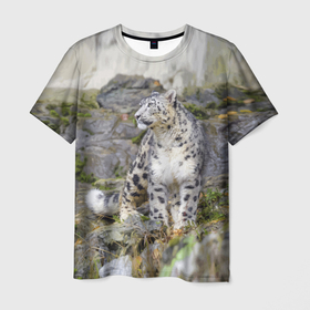 Мужская футболка 3D с принтом Снежный барс среди скал , 100% полиэфир | прямой крой, круглый вырез горловины, длина до линии бедер | mountains | muzzle | nature | paws | rocks | snow leopard | tail | барс | горы | камни | лапы | природа | скалы | хвост