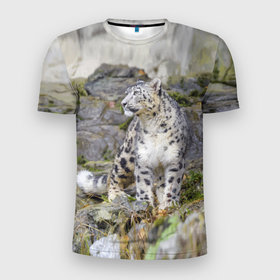 Мужская футболка 3D Slim с принтом Снежный барс среди скал в Тюмени, 100% полиэстер с улучшенными характеристиками | приталенный силуэт, круглая горловина, широкие плечи, сужается к линии бедра | Тематика изображения на принте: mountains | muzzle | nature | paws | rocks | snow leopard | tail | барс | горы | камни | лапы | природа | скалы | хвост