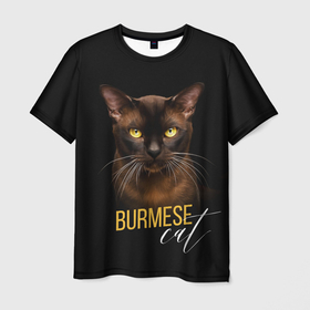 Мужская футболка 3D с принтом Американская бурма в Екатеринбурге, 100% полиэфир | прямой крой, круглый вырез горловины, длина до линии бедер | бурма | бурманская кошка | бурманский кот | бурманский котенок | кот бурма | котенок бурма | кошка бурма