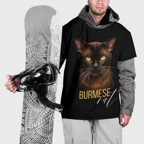Накидка на куртку 3D с принтом Американская бурма в Новосибирске, 100% полиэстер |  | Тематика изображения на принте: бурма | бурманская кошка | бурманский кот | бурманский котенок | кот бурма | котенок бурма | кошка бурма