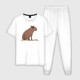 Мужская пижама хлопок с принтом Капибара сидит на пригорке в Новосибирске, 100% хлопок | брюки и футболка прямого кроя, без карманов, на брюках мягкая резинка на поясе и по низу штанин
 | animal | capybara | meme | memes | sweethuman | sweethumen | абстракция | арт | графика | животное | искусство | капибара | мем | мемы | разноцветный | сюрреализм | узоры | цвета