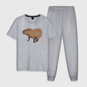 Мужская пижама хлопок с принтом Капибара удивлена в Новосибирске, 100% хлопок | брюки и футболка прямого кроя, без карманов, на брюках мягкая резинка на поясе и по низу штанин
 | animal | capybara | meme | memes | sweethuman | sweethumen | абстракция | арт | графика | животное | искусство | капибара | мем | мемы | разноцветный | сюрреализм | узоры | цвета