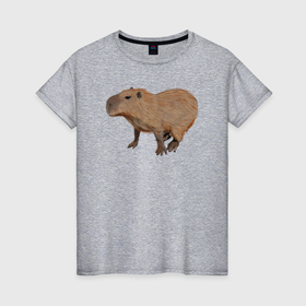 Женская футболка хлопок с принтом Капибара удивлена в Екатеринбурге, 100% хлопок | прямой крой, круглый вырез горловины, длина до линии бедер, слегка спущенное плечо | animal | capybara | meme | memes | sweethuman | sweethumen | абстракция | арт | графика | животное | искусство | капибара | мем | мемы | разноцветный | сюрреализм | узоры | цвета