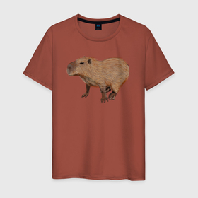 Мужская футболка хлопок с принтом Капибара удивлена в Тюмени, 100% хлопок | прямой крой, круглый вырез горловины, длина до линии бедер, слегка спущенное плечо. | animal | capybara | meme | memes | sweethuman | sweethumen | абстракция | арт | графика | животное | искусство | капибара | мем | мемы | разноцветный | сюрреализм | узоры | цвета
