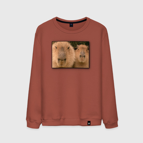Мужской свитшот хлопок с принтом Два друга капибары на портрете в Тюмени, 100% хлопок |  | animal | capybara | meme | memes | sweethuman | sweethumen | абстракция | арт | графика | животное | искусство | капибара | мем | мемы | разноцветный | сюрреализм | узоры | цвета