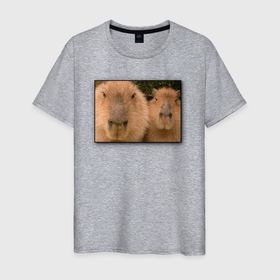 Мужская футболка хлопок с принтом Два друга капибары на портрете в Тюмени, 100% хлопок | прямой крой, круглый вырез горловины, длина до линии бедер, слегка спущенное плечо. | animal | capybara | meme | memes | sweethuman | sweethumen | абстракция | арт | графика | животное | искусство | капибара | мем | мемы | разноцветный | сюрреализм | узоры | цвета