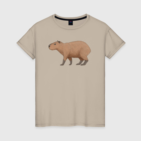 Женская футболка хлопок с принтом Капибара на пути к цели в Курске, 100% хлопок | прямой крой, круглый вырез горловины, длина до линии бедер, слегка спущенное плечо | animal | capybara | meme | memes | sweethuman | sweethumen | абстракция | арт | графика | животное | искусство | капибара | мем | мемы | разноцветный | сюрреализм | узоры | цвета
