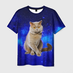 Мужская футболка 3D с принтом Британский кот на фоне  звёздного неба , 100% полиэфир | прямой крой, круглый вырез горловины, длина до линии бедер | british | cat | cats | kitty | британская | британские | британский | кот | котёнок | котик | котята | кошечка | кошка