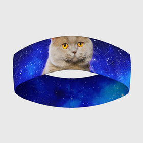 Повязка на голову 3D с принтом Британский кот на фоне звёздного неба ,  |  | british | cat | cats | kitty | британская | британские | британский | кот | котёнок | котик | котята | кошечка | кошка