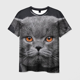 Мужская футболка 3D с принтом Британский серый кот в Тюмени, 100% полиэфир | прямой крой, круглый вырез горловины, длина до линии бедер | british | cat | cats | kitty | британская | британская серая | британские | британский | кот | котёнок | котик | котята | кошечка | кошка | серый кот