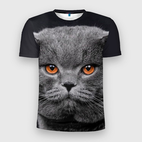 Мужская футболка 3D Slim с принтом Британский серый кот в Новосибирске, 100% полиэстер с улучшенными характеристиками | приталенный силуэт, круглая горловина, широкие плечи, сужается к линии бедра | Тематика изображения на принте: british | cat | cats | kitty | британская | британская серая | британские | британский | кот | котёнок | котик | котята | кошечка | кошка | серый кот