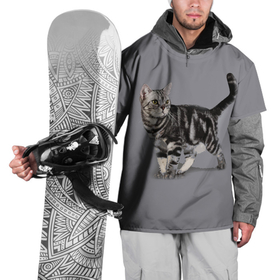 Накидка на куртку 3D с принтом Британская мраморная кошечка в Кировске, 100% полиэстер |  | Тематика изображения на принте: british | cat | cats | kitty | британская | британская мраморная | британские | британский | кот | котёнок | котик | котята | кошечка | кошка | серый кот