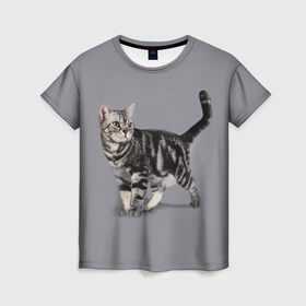 Женская футболка 3D с принтом Британская мраморная кошечка в Кировске, 100% полиэфир ( синтетическое хлопкоподобное полотно) | прямой крой, круглый вырез горловины, длина до линии бедер | british | cat | cats | kitty | британская | британская мраморная | британские | британский | кот | котёнок | котик | котята | кошечка | кошка | серый кот